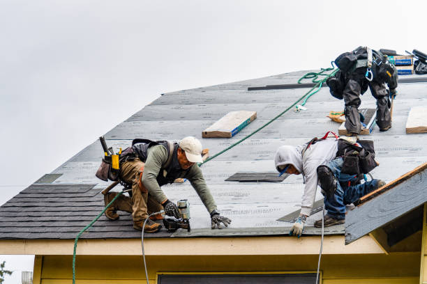 Professional Roof Inspection technician working in Wellesley Hills, MA